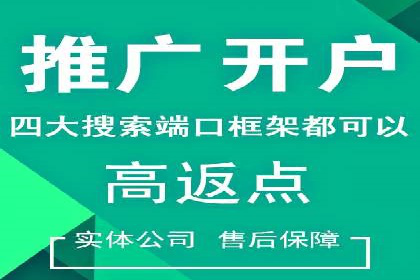 竞价托管实战案例：优化广告投放策略